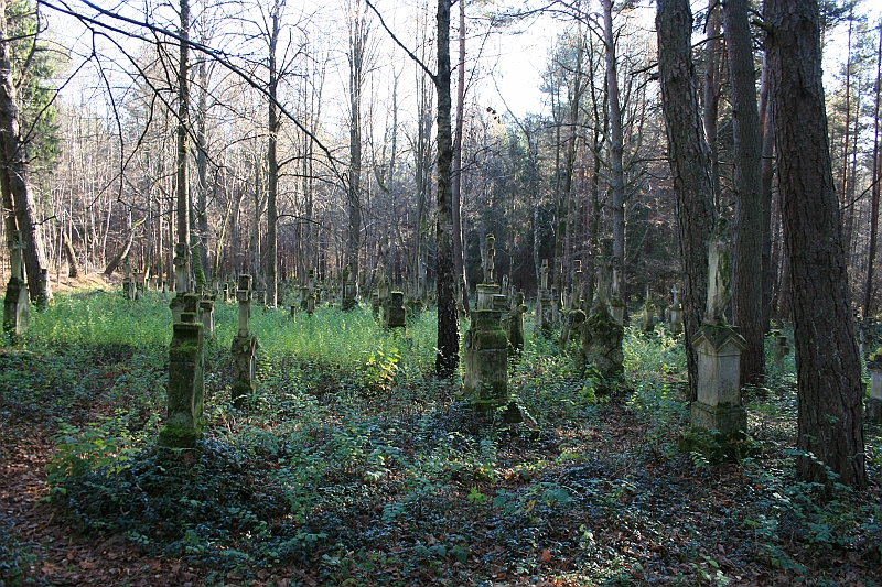 Rostoczek 11.2008 383